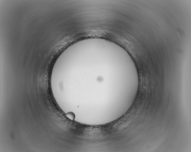 X0000111510354200908111314