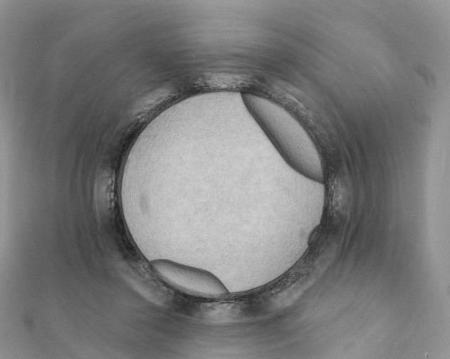 X0000111510356200908111314