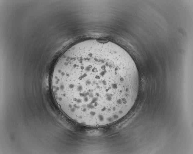X0000111510358200908111314