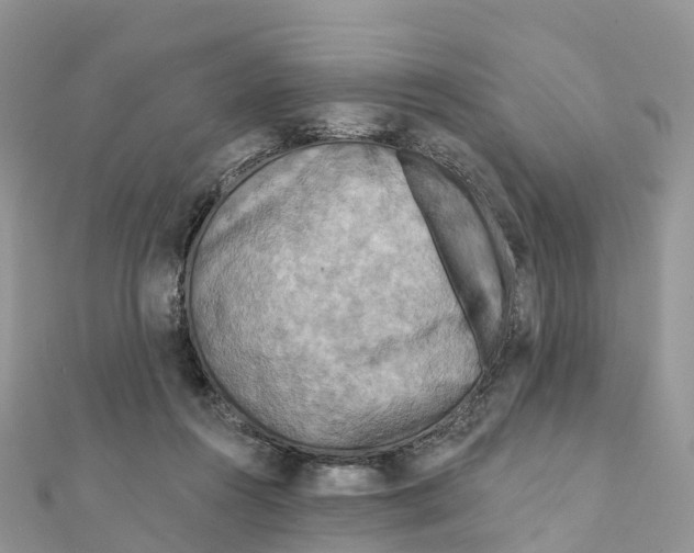 X0000111510360200908111314