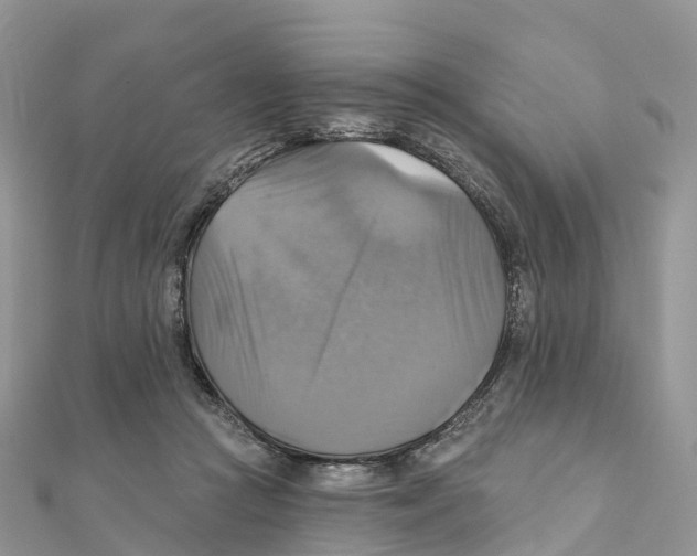 X0000111510361200908111314