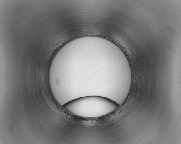 X0000111510362200908111314