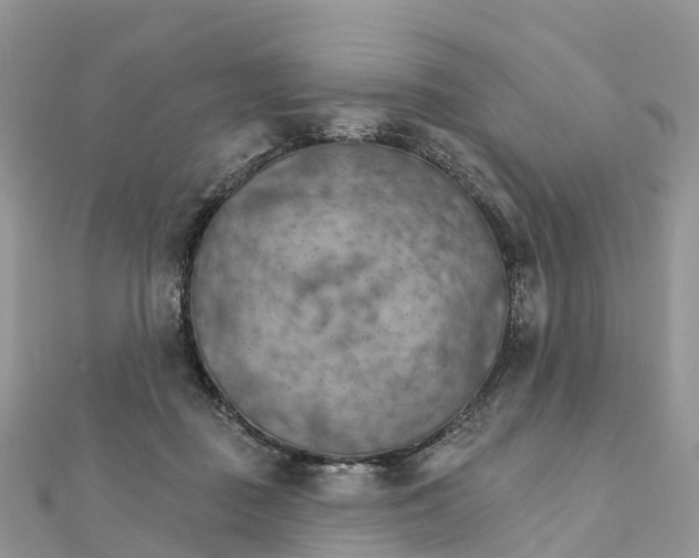 X0000111510363200908111314