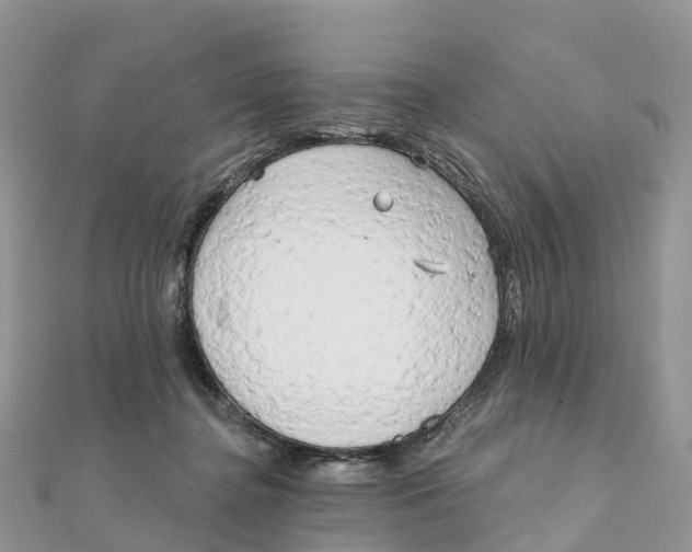 X0000111510364200908111314