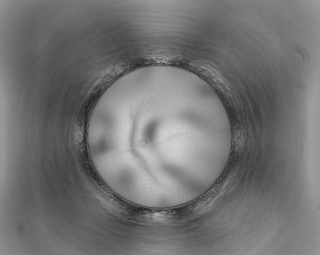 X0000111510365200908111314