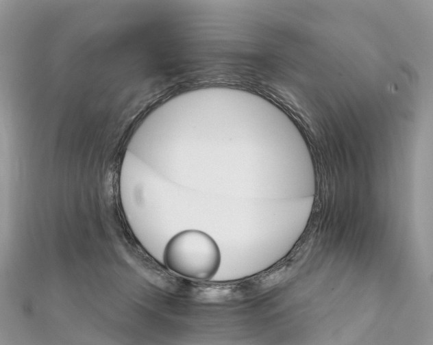 X0000111510366200908111314