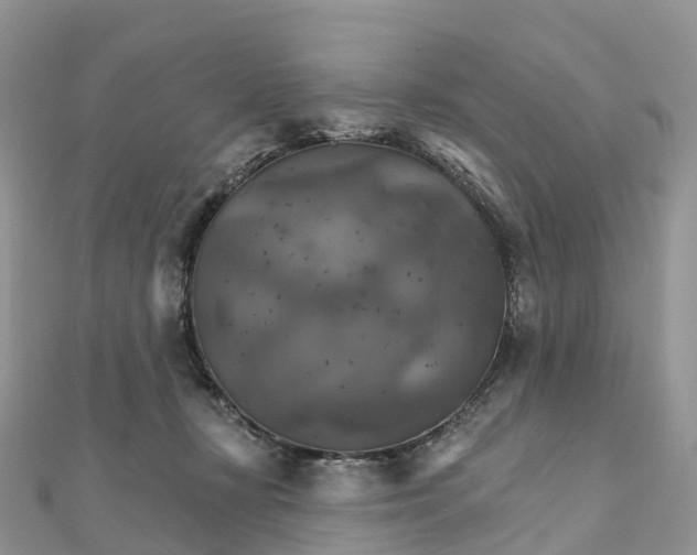 X0000111510367200908111314
