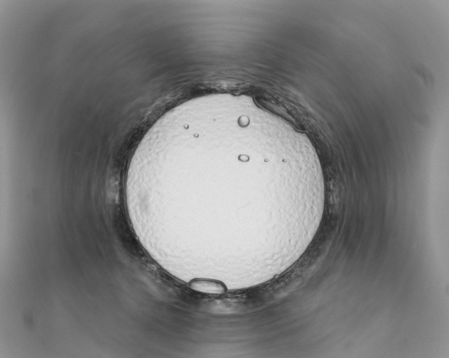 X0000111510368200908111314