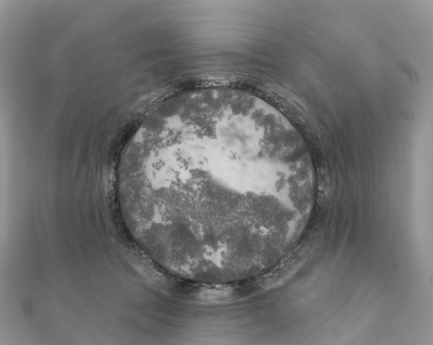 X0000111510369200908111314