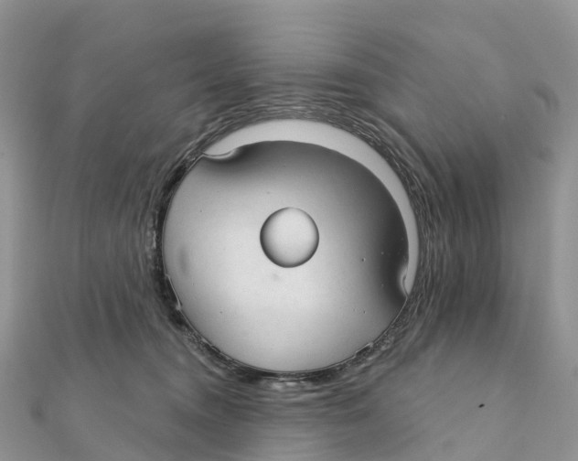 X0000111510372200908111314