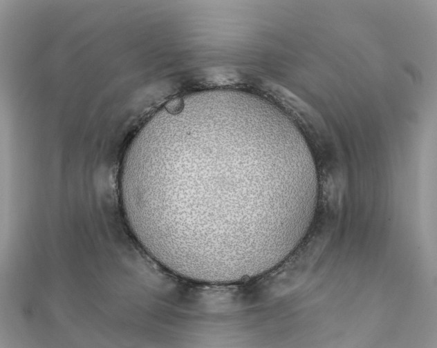 X0000111510373200908111314