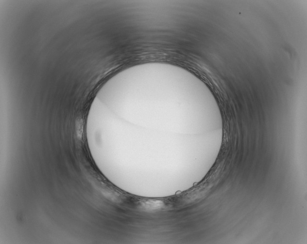 X0000111510374200908111314