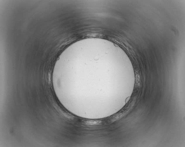 X0000111510375200908111314