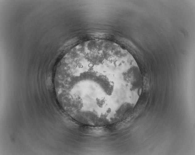 X0000111510377200908111314