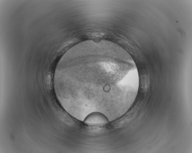 X0000111510378200908111314