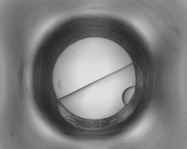 X0000111510383200908111314