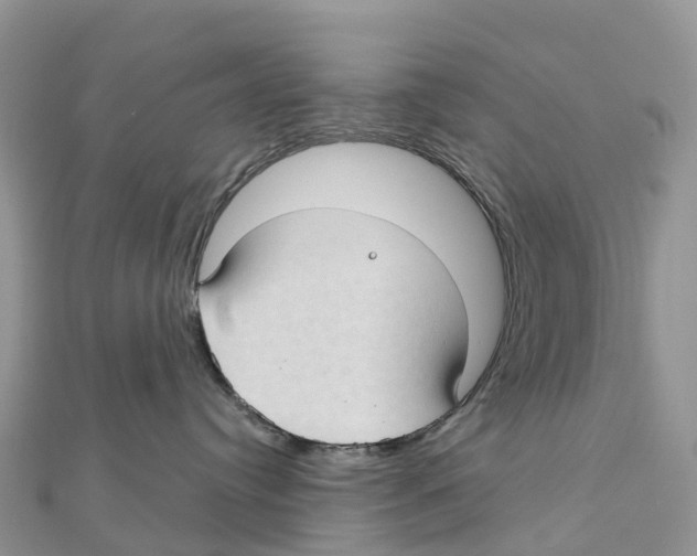 X0000111510384200908111314