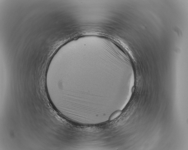 X0000111510385200908111314