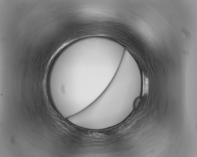 X0000111510387200908111314