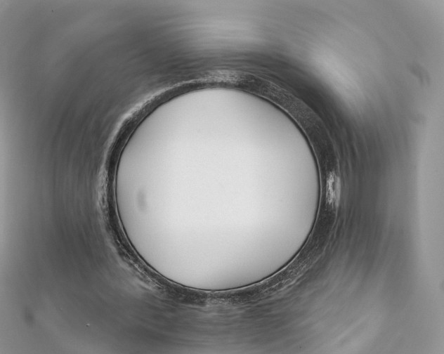 X0000111510388200908111314
