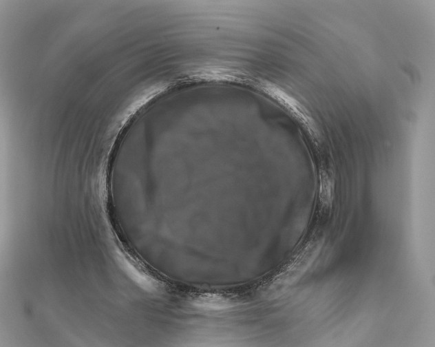 X0000111510390200908111314