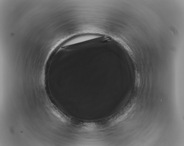 X0000111510391200908111314