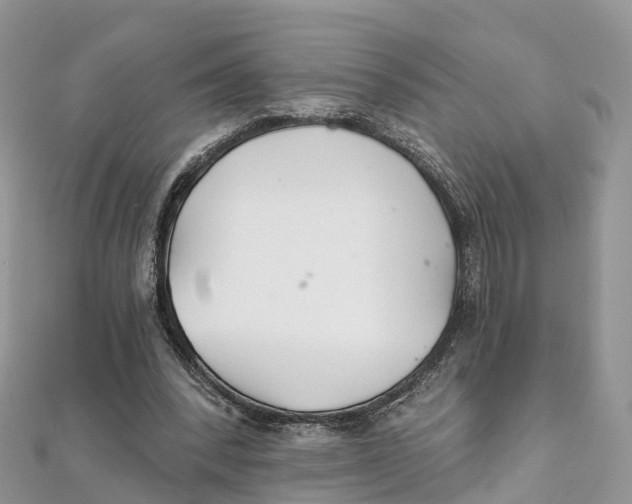 X0000111510392200908111314