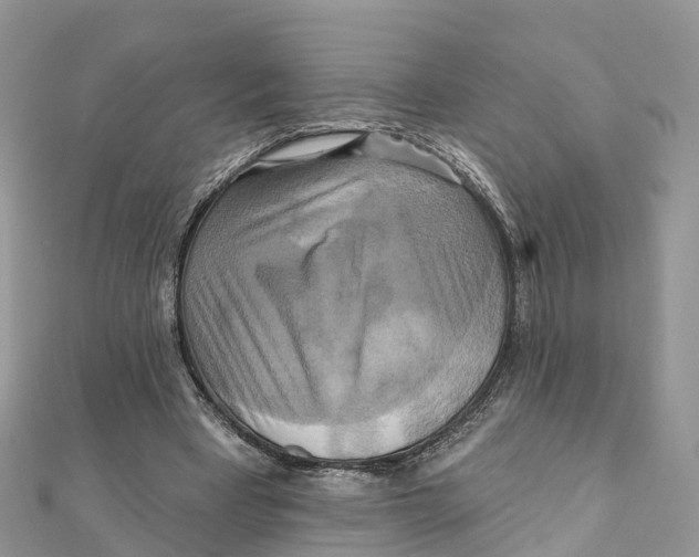 X0000111510393200908111314