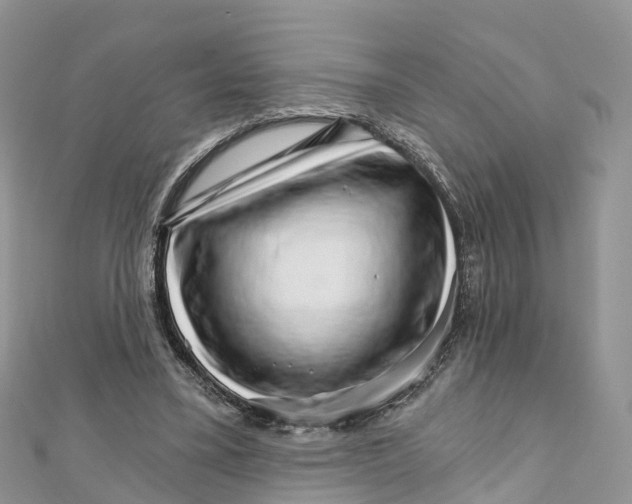 X0000111510395200908111314