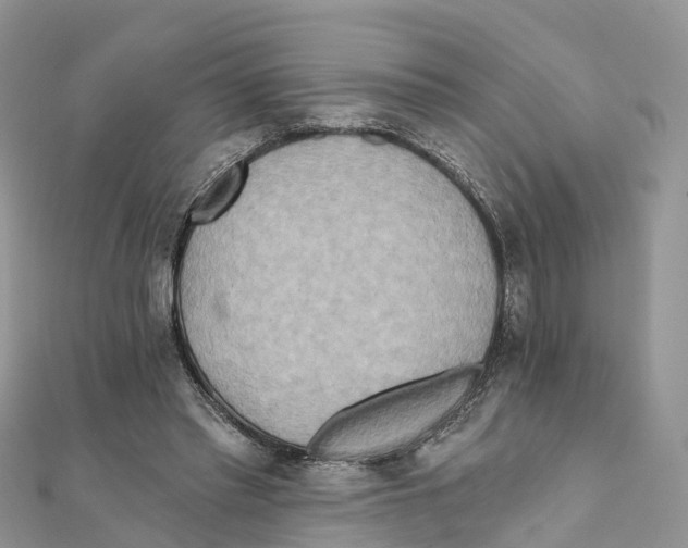 X0000111510397200908111313