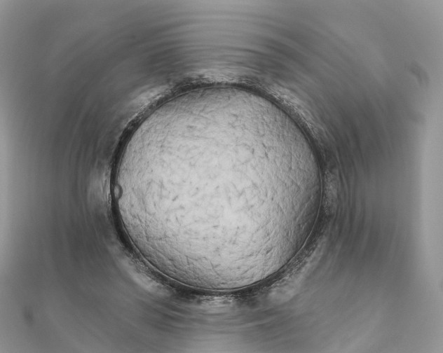 X0000111510398200908111313