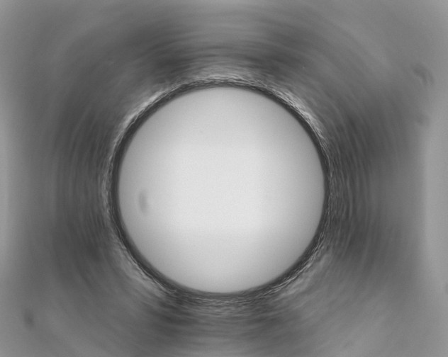 X0000111510399200908111313
