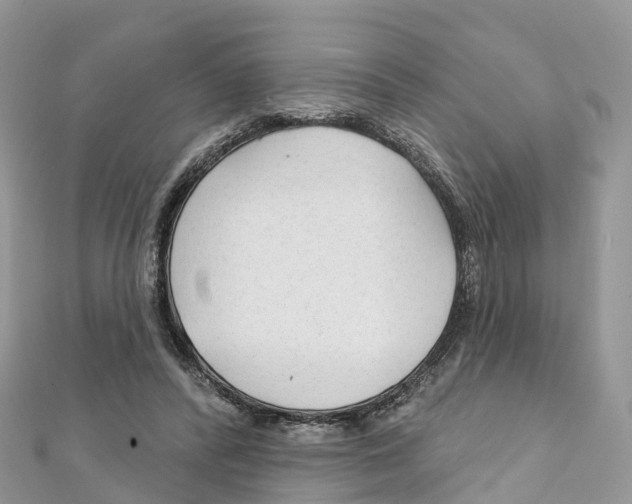 X0000111510400200908111313