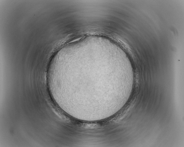 X0000111510401200908111313