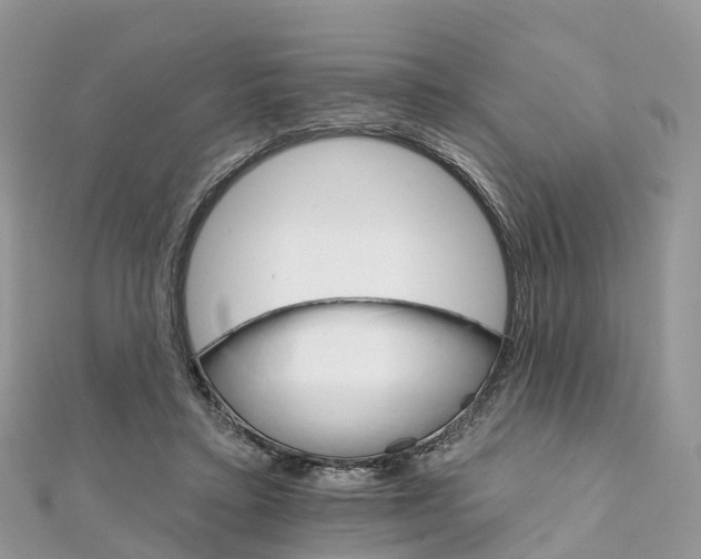 X0000111510403200908111313