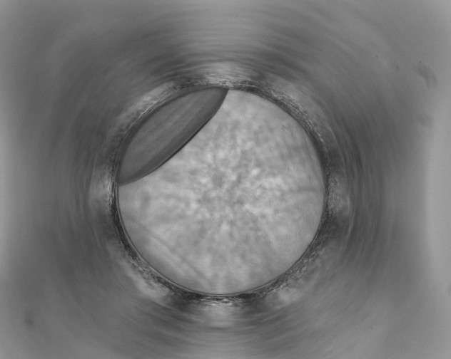 X0000111510405200908111313