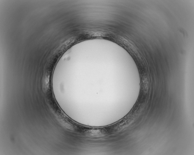 X0000111510406200908111313