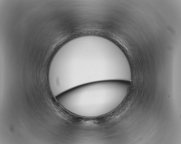 X0000111510407200908111313