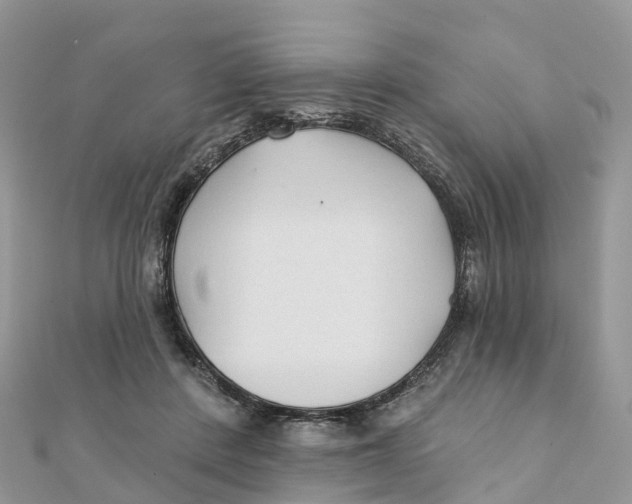 X0000111510408200908111313
