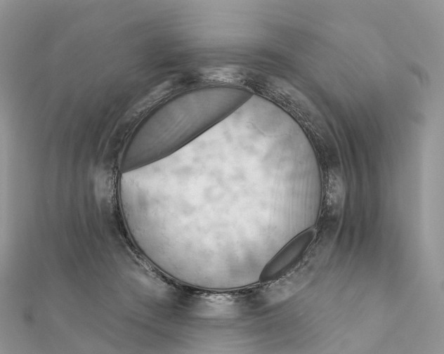 X0000111510409200908111313