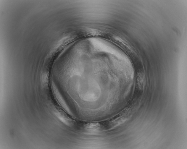 X0000111510410200908111313