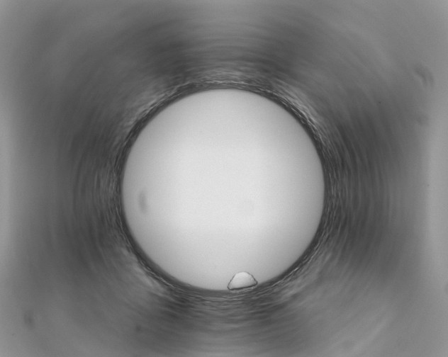 X0000111510411200908111313