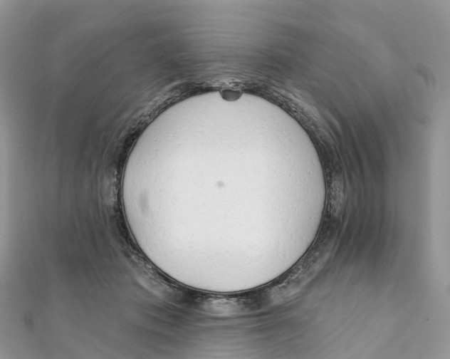 X0000111510413200908111313