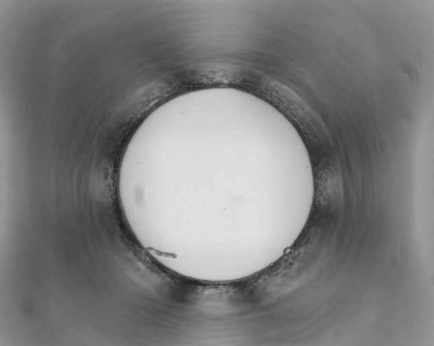 X0000111510414200908111313