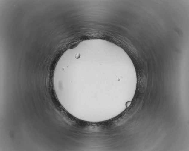 X0000111510416200908111313