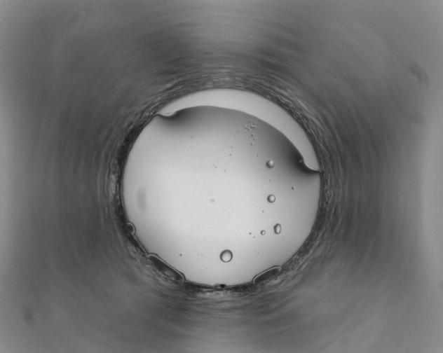 X0000111510417200908111313