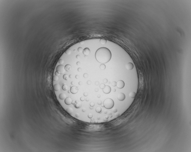 X0000111510418200908111313