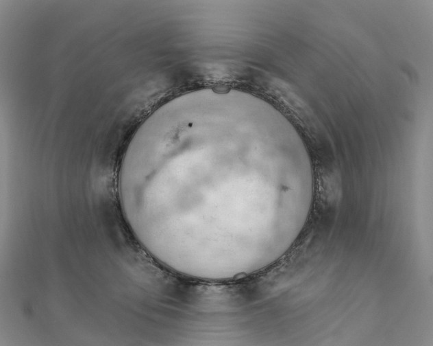 X0000111510419200908111313