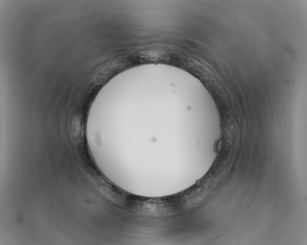 X0000111510420200908111313
