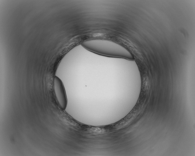 X0000111510421200908111313